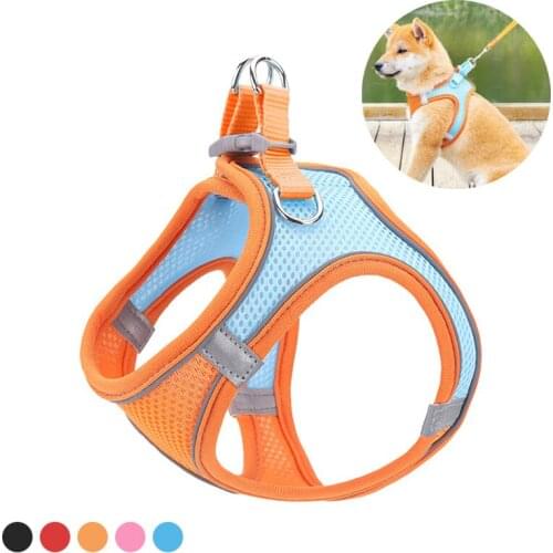 Pet Dog Harness Vest Reflective Mesh Cat Harness And Leash Set For Small Medium Dogs Puppy Soft Padded Bulldog Pug Accessories