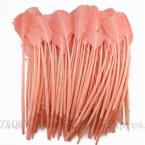 Natural 25-30CM Turkey Nest Lin Shear Round Dyed Pink Pink DIY Craft Ornament Head Decorative Feather