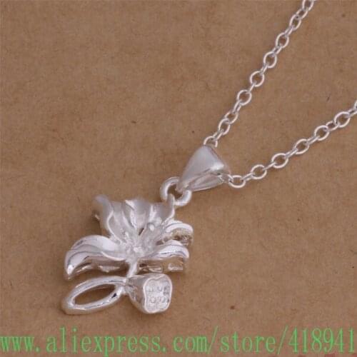 Free shipping silver plated Necklace,silver platedr fashion jewelry /ccdaktka donamfua P337