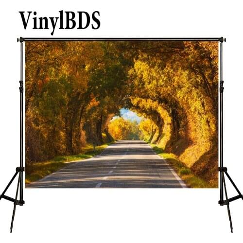 VinylBDS Photography Backdrops Autumn Background Yellow Leaf Forest Background Natural Children Backdrop Kids Scenery Background
