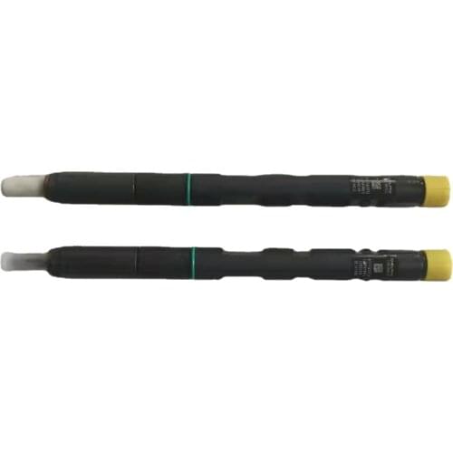 L Common Rail Injector EJBR05001D for JCB 444