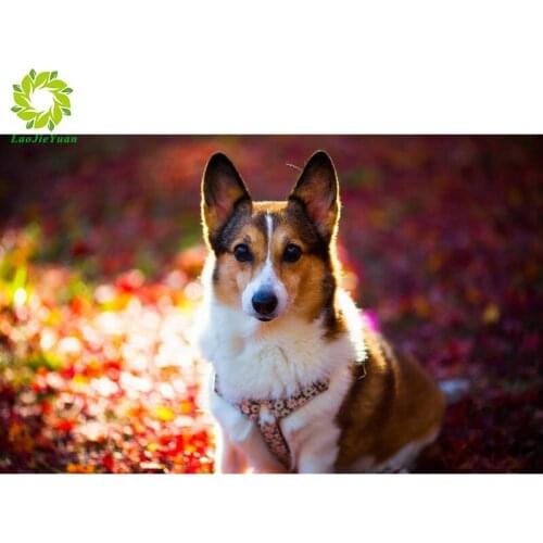 SNA Diamant Painting 5D DIY Diamond Painting Full Square Drill "Animal" Embroidery Cross Stitch gift Home Decor Gift