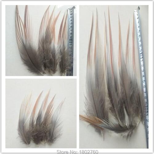 Wholesale natural heron feathers 10-30 cm / 4-12 inches in various sizes rare two-color heron feathers decoration