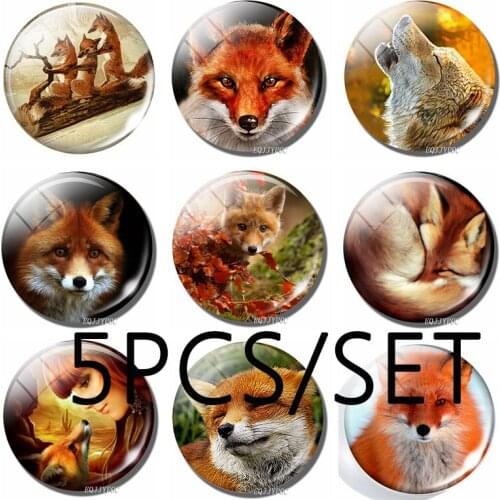 5Pcs/lot Beatrix Potter Art Handmade Pendant Glass Cabochon Jewelry Accessories The Tale of Mr. Tod Fox