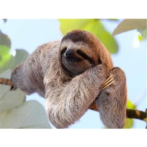 Diamond Painting Diamond Embroidery 5d Diy Full Sqaure/Round Animals Sloth Diamond Mosaic Gifts Home Decoration