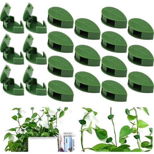 Wall Rattan Clamp Plant Climbing Wall Self-Adhesive Fastener Tied Fixture Rattan Fixed Bracket Fixed Plant Stent Sup Buckle Hook