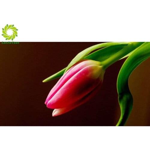 SNA Diamond Painting Full Square Diamond Embroidery Flower Tulip Pattern Rhinestones Diamond Mosaic Needlework DIY