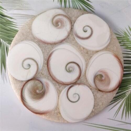 Natural Circular Sun Shell Fossil Slice Splice Plate Crystal Specimens Love Heart Reiki Conch Healing Decoration