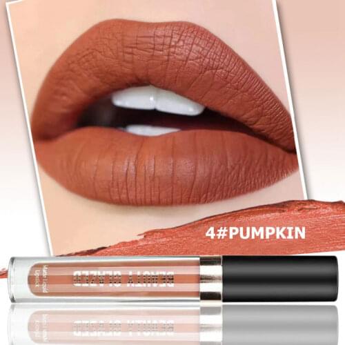 Matte Liquid Lipstick Waterproof Long Lasting Easy To Wear Lip Gloss Moisturizing Lip Makeup Women Cosmetic