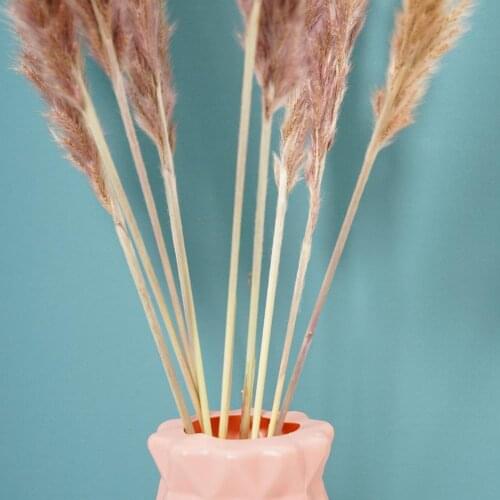 10pcs 1 Bunch Dried Reeds Dried Plants Grass Natural Phragmites Communis Wedding Flower Bunch Dried Flower Color Decoration