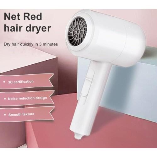 220V Salon Hair Dryer With Negative Ion Blue light Blow Dryer 800W Quiet Powerful Soldering Blower Electric Hairdryer Travel