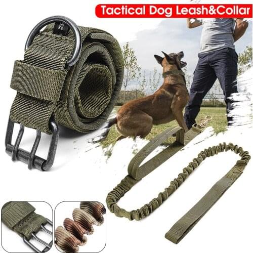 LILI Collars, Harnesses And Leashes