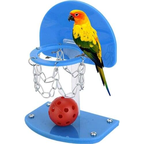 Bird Basketball Toy Set Mini Bird Training Toy Parrot Educational Toy for Cage Parrots Toys And Bird Accessories For Pet Toy