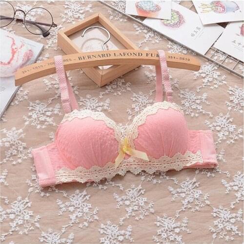 Japanese garden style cotton embroidery girl student underwear cute chiffon small chest gather bra