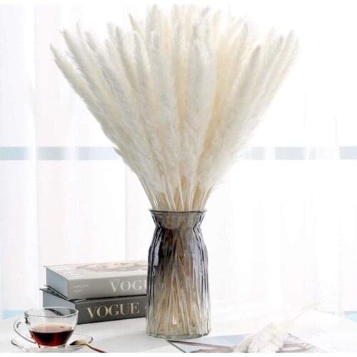 20pcs Pampas Grass Small Reed Dried Artificial Flower Plant Table Decoration And Interior Accessories Gazebo Indie Room Decor