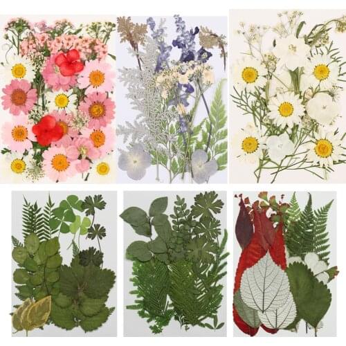 Natural Dry Leaves DIY Decorative Filling Materials Real Dried Pressed Flowers Assorted for Pressed Leaf Resin Mold Art Craft