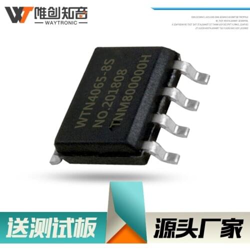 WTN4045-SOP 8-pin Pwm Pure Audio Output Toy Electronic Lock Electric Toothbrush Voice Chip Ic