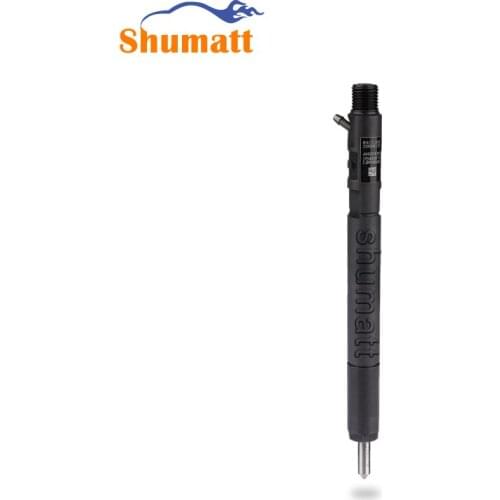 China Made New Common Rail Injector EJBR04601D For SSANGY0NG A6650170321 A6650170121