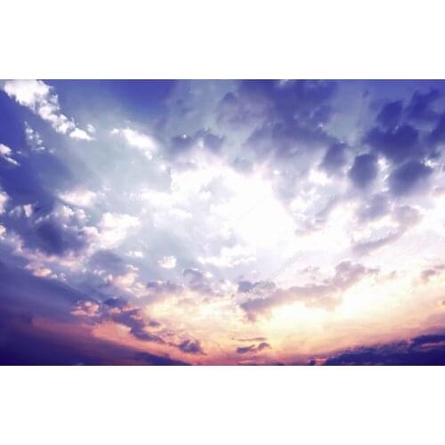 Sky sunset Clouds backdrops polyester or Vinyl cloth High quality Computer print wall Photography Backgrounds