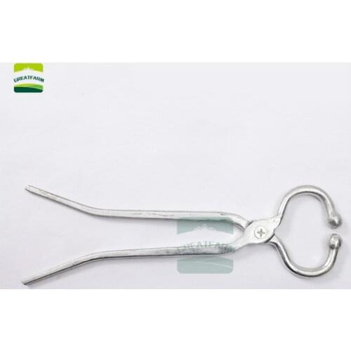 1pcs Stainless Steel cow Nose Ring Pliers Bull Cattle Bovine with Chain Pulling Tool Livestock Silver Cattle Nose Ring Circle