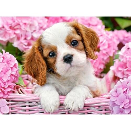5D DIY Animal Diamond Embroidery Full Square Diamond Painting Dog Cross Stitch Kit Handmade Gift Home Decoration