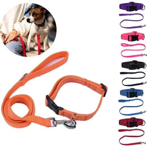 Adjustable Dog Collars Nylon Dog Leash Durable Heavy Duty Feel Comfortable and Tight Pet Collar Leash For Small Medium Large Dog