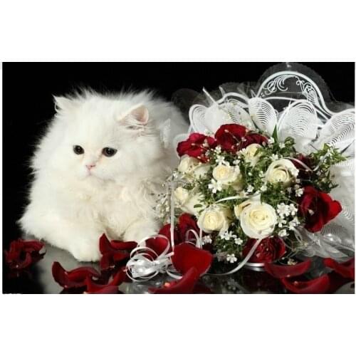 Cross Stitch Kits Cute Cat Rose Flower Painting Crafts Art Needlework 14CT Unprinted Embroidered Handmade Wall Home Decor