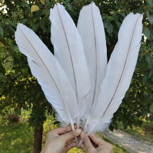 Beautiful Wholesale 5/50pcs Rare Beige Pheasant Feathers 35-40cm/14-16inch For Wedding Christmas Home Craft Decoration