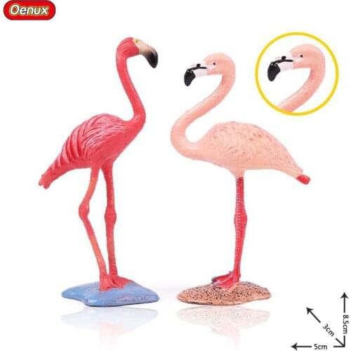 Oenux Original Wild Flamingos FMG Birds Animal Model Figurines Toy New Flamingo Action Figures Collection Toy For Kids Gift