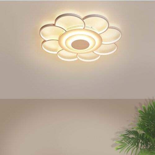 Nordic ceiling chandelier lamparas de techo colgante moderna luzes de teto Ceiling Lamp Fixtures living room bedroom luminaria