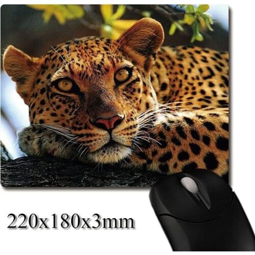The leopard resting on a tree trunk printed Heavy weaving anti-slip rubber pad office mouse pad Coaster Party favor 220x180x3mm
