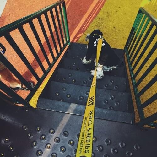 1.6M Fashion Nylon Rope Dog Pet Leash Rope Pet Dog Collar Leash Puppy Medium Large Dogs Training Supplies Pet Traction Rope