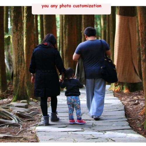 Custom Print Canvas Painting Your Photos Print Posters and Animal Pictures Landscape Pictures In Any Size Living Room Wall Decor