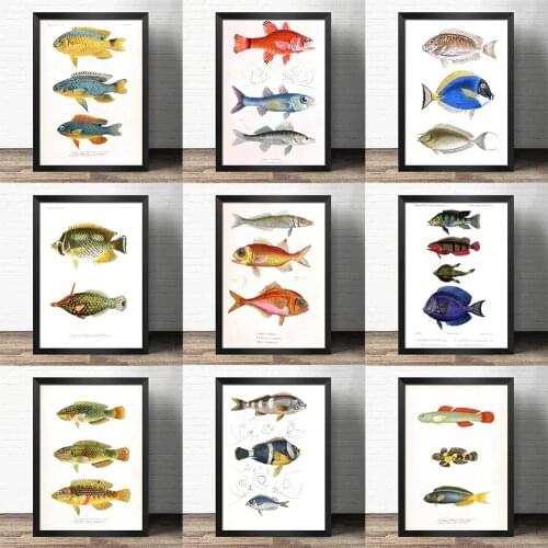 Popular science decorative painting early education - Sea fish specimen salmon -Atlas art painting Retro poster kraft paper