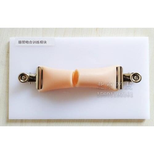 Laparoscopic simulation suture practice model Intestinal anastomosis module