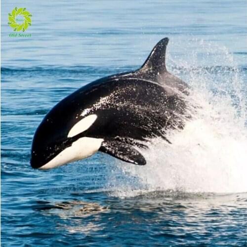 Масляные краски Old Street Home China At AliExpress