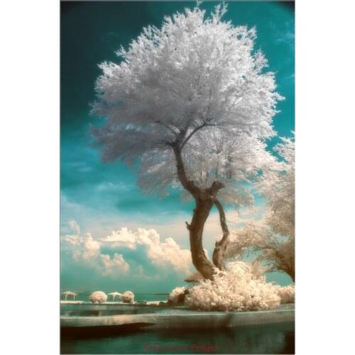 Needlework for embroidery DIY Craft DMC High Quality - Counted Cross Stitch Kits 14 ct Oil Painting - Beside Still Waters