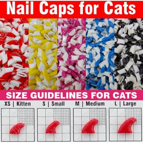 ZETPO Products For Cats