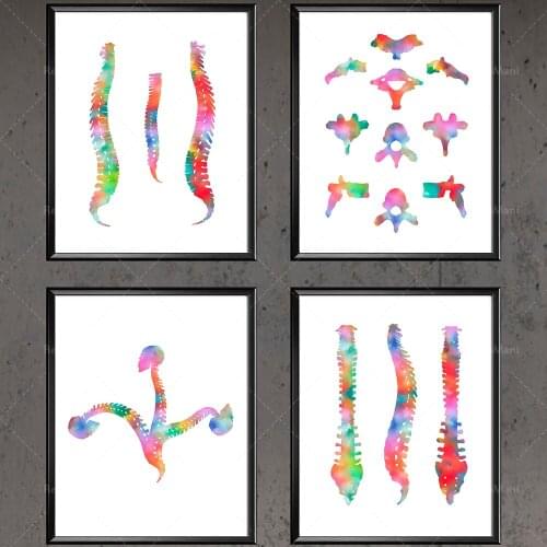 Spine watercolor print set vertebrae anatomy art medical poster chiropractic clinic wall decoration plastic surgeon gift poster