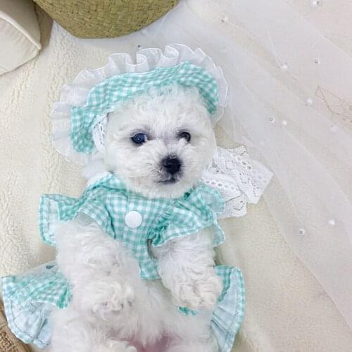 Summer Cat Dog Dress Hat Outdoor Pet Costume Apparel Travel Dog Clothes Skirt Chihuahua Yorkshire Pomeranian Puppy Clothing XXS