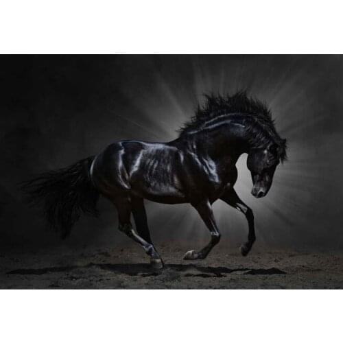 HD Printed Modern Decor Art Wall Mane Animals Horses Oil Painting on Canvas Oil Painting Home Room Decoration