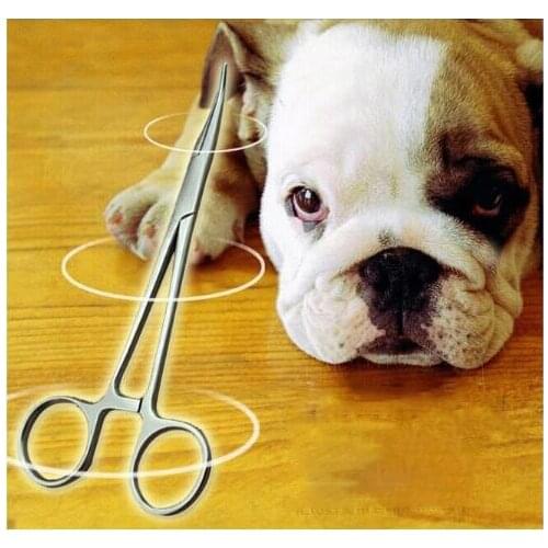 Dog Hair Scissors Stainless Steel Pet Grooming Scissor Professional Curved Scissors Puppy Kitten Hair Cutter Cat Beauty Tool