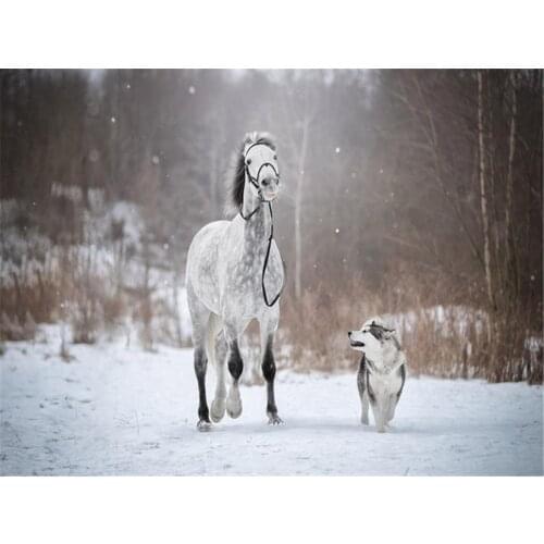 Animal Dog Husky DIY Cross Stitch 11CT Embroidery Kits Craft Needlework Set Printed Canvas Cotton Thread Home Room