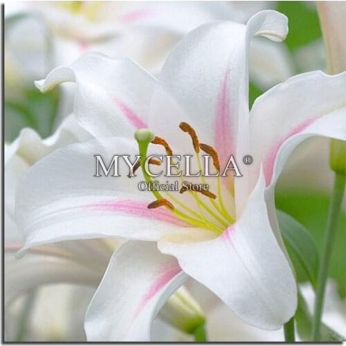 Lily Needlework Full 5D DIY Diamond Painting Cross Stitch Cross Stitch Flowers Diamond Embroidery Kits Round Diamond Mosaic