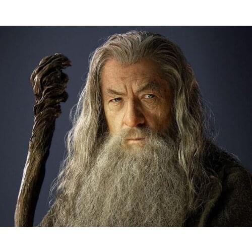 Long Curly Cosplay Wigs Wholesale High Quality Hobbit Gandalf Cosplay Wigs Grey Synthetic Hair Wigs Hot Selling Online 011