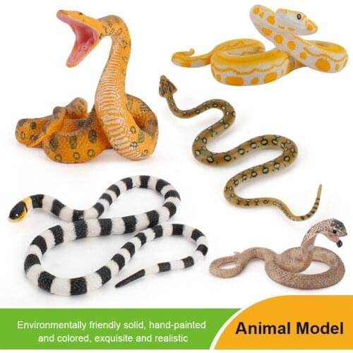 New Animal Model Simulation Wild Reptile Model Children Cognitive Cobra Toy Accessories Learning Education Biology Toys Gifts