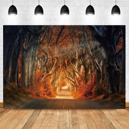 Autumn Backdrop For Photography Forest Pathway Road Old Tree Sunshine Scenic View Photography Background Photocall Photo Studio
