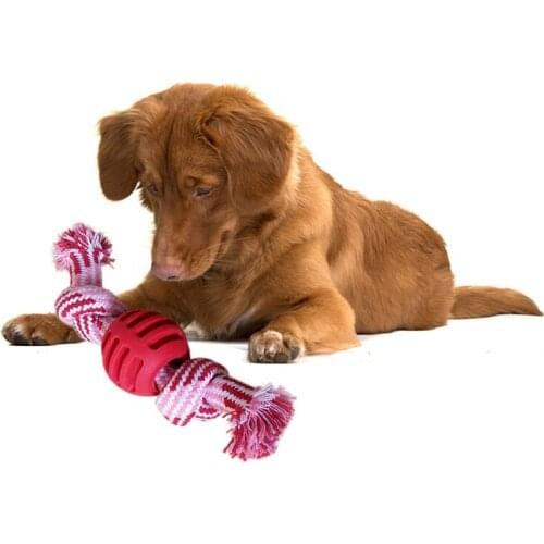 Pet Dog Rope Chew Toys Bone Ball Animal Shape Pets Playing Knot Toy Cotton Teeth Cleaning Toys for Small Pet Puppy