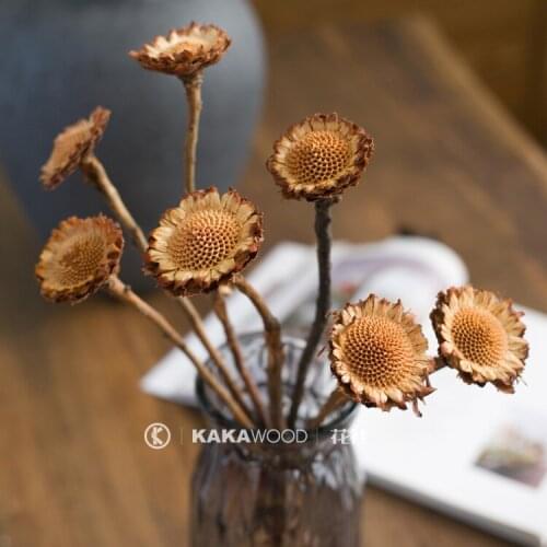African Imported Dried Flower Arrangement Accessories Home Window Floral Design Nordic Decorations Dried Flowers Sun Flowers