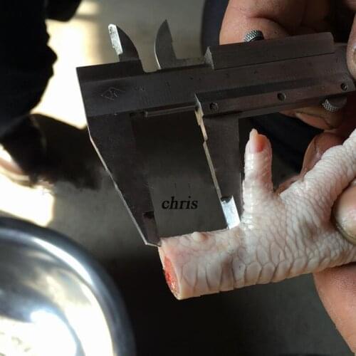 Russian chicken feet cutting machine steel automatic chicken feet peeler machine